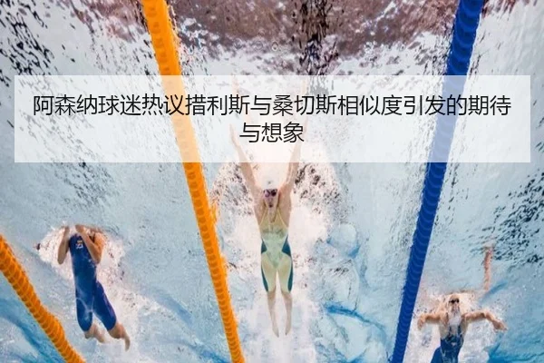 阿森纳球迷热议措利斯与桑切斯相似度引发的期待与想象